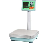 Весы электронные МЕХЭЛЕКТРОН-М ВЭТ-30-5/10-3С-ТДБ