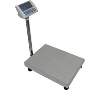 Весы электронные МЕХЭЛЕКТРОН-М ВЭТ-60-20-3С-АБ (400*500)