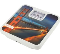 Механические напольные весы ENERGY ENМ-409K 101265