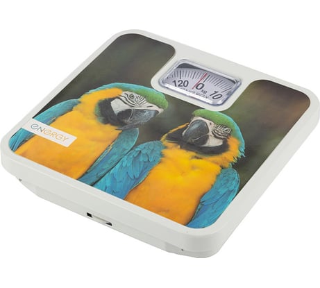 Механические напольные весы ENERGY ENМ-409H 101254