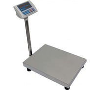 Весы электронные МЕХЭЛЕКТРОН-М ВЭТ-60-20-1С-АБСК (300*400)