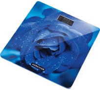 Напольные электронные весы HomeStar HS-6002C стеклянная поверхность 180 кг термометр 003949