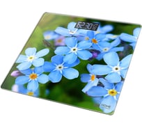 Напольные весы HOME ELEMENT сенсор незабудки HE-SC904 36495