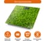 Напольные весы HOME ELEMENT сенсор молодая трава HE-SC906 35700 10