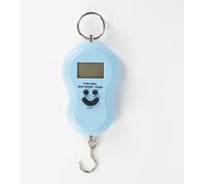 Безмен Удачная покупка STC01-07