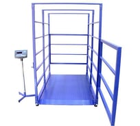 Весы Middle МП 600 ВЕДА Ф-1 (100/200; 2000х1000) Живой вес 04 1141000286