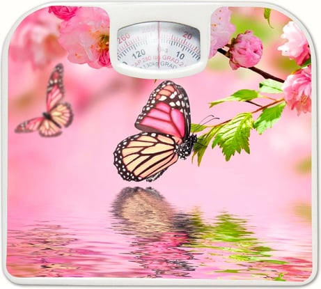 Напольные механические весы IRIT Бабочки 2 IR-7312