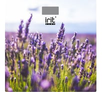 Напольные весы IRIT IR-7266
