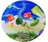 Электронные весы Beroma 07820327 1