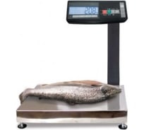 Влагозащищенные весы МАССА-К МК-32.2-АВ11 25174