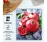 Кухонные весы Scarlett SC-KS57P30 2