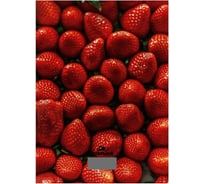 Кухонные весы Добрыня DO- 3011S