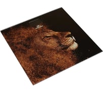 Весы Добрыня DO - 3006L