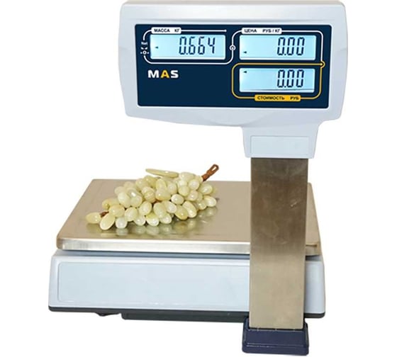 Торговые весы со стойкой MAS ter mr1-6p 7214