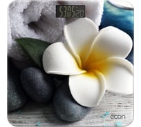 Электронные напольные стеклянные весы Econ ECO-BS004