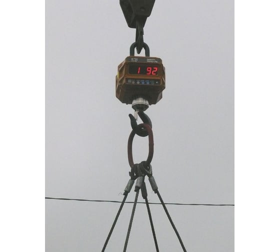 Крановые весы CAS 15THD CA0C80156GCI0501