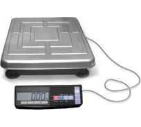 Весы (395х520) МАССА-К ТВ-S-200.2-А1 50084