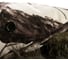 Шапка-ушанка NORFIN Hunting 750 White р.XL 750-W-XL 2