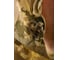 Костюм ORION ACTIVE Пионер, р. 60-62, осколки беж, рост 170-176 4610097016677 12