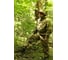 Костюм KE Tactical Тактика-2 multicam рип-стоп, р-р 56-58 6091703 14