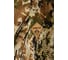 Костюм ORION ACTIVE Рысь, смесовая, кмф степь, р. 52-54, рост 182-188 4610097081774 14
