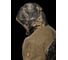 Костюм демисезонный мужской Fantom Force Gorka NEXT Demi (ALOVA/FINLANDIA), 510-3 Dark Forest\Finlandia Khaki 1, рост 170-176, размер 96-100 FFPD-1-03-5103-3-96 12