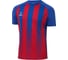 Игровая футболка Jogel Camp Striped Jersey JC1ST0121.ZR, красный/синий УТ-00020565 1