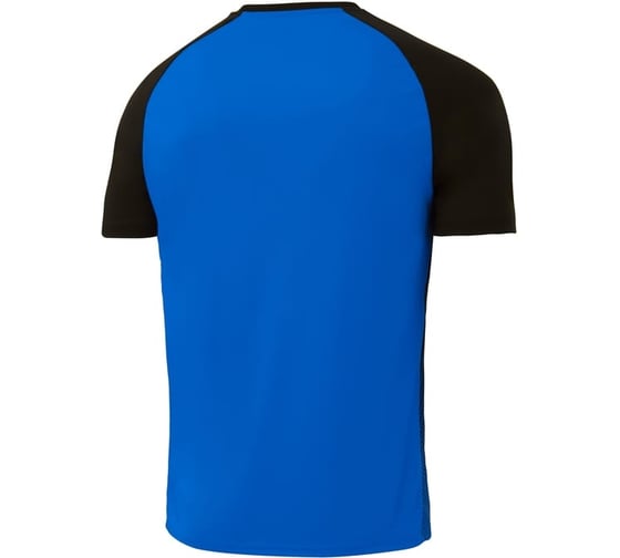 Игровая футболка Jogel Camp Striped Jersey JC1ST0121.Z2, синий/черный УТ-00020563