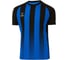 Игровая футболка Jogel Camp Striped Jersey JC1ST0121.Z2, синий/черный УТ-00020563 1