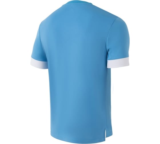 Игровая футболка Jogel DIVISION PerFormDRY Union Jersey, голубой/белый/белый УТ-00020590
