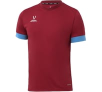 Игровая футболка Jogel DIVISION PerFormDRY Union Jersey Велес, гранатовый/голубой/белый УТ-00021388
