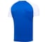 Игровая футболка Jogel CAMP Reglan Jersey JFT-1021, синий/белый, размер L УТ-00016173 2