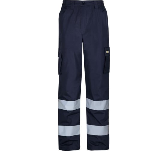 Брюки DOWELL Spring cиние, L D81601-L 1