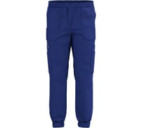 Джоггеры СОЮЗСПЕЦОДЕЖДА Эргофайв Актив (ERGOFIVE Active) EAPU03 василек, 60 (3XL) 2000000274515