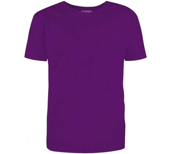 Футболка мужская MODERN 155г, О-ворот, фиолетовый, XXL 100025-2XL