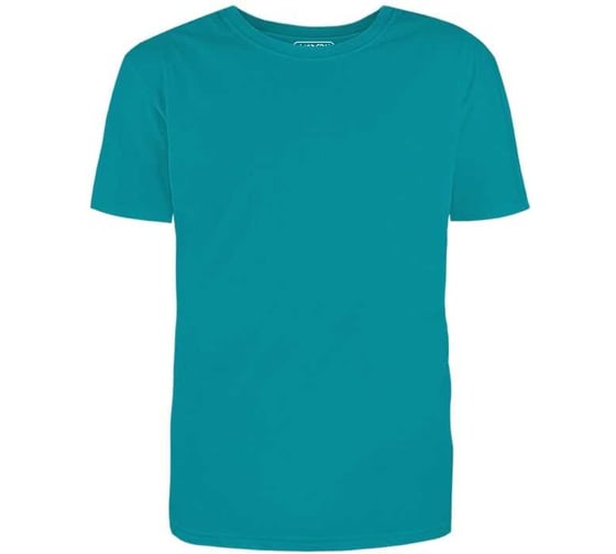 Футболка мужская MODERN 155г О-ворот бирюзовый XXL (F2) 100003-2XL-2
