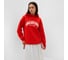 Джемпер (худи) женский MIST Cozy style красный, размер 50 9953216 8