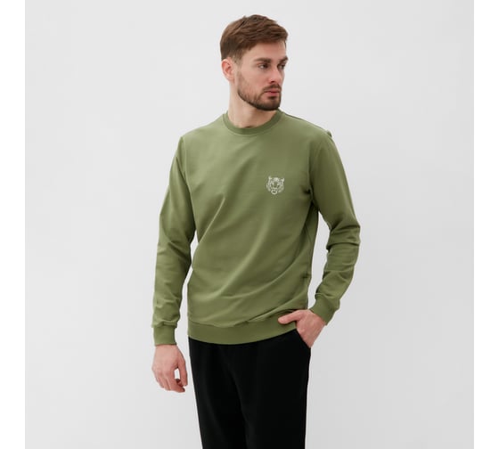 Толстовка мужская MIST Men's casual размер 50, зеленый 10197624