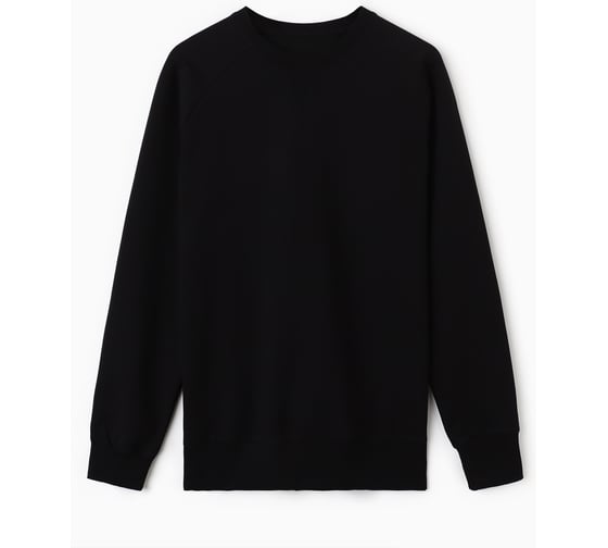 Толстовка мужская MIST Men's collection, размер 48, черный 10412123