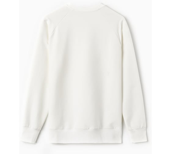 Толстовка мужская MIST Men's collection, размер 56, молочный 10412138