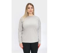 Футболка с длинным рукавом (Лонгслив) Orlov-sky 320057/7-3 пл.160 гр/м2, р-р 56-58 цв. палома KKW 4670093485136
