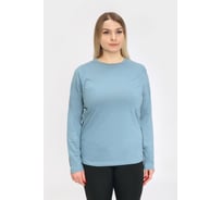 Футболка с длинным рукавом (Лонгслив) Orlov-sky 320057/10-2 пл.160 гр/м2, р-р 52-54 цв. цитадель KKW 4670093484771