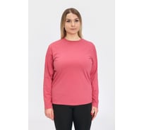Футболка с динным рукавом (Лонгслив) Orlov-sky 320057/9 пл.160 гр/м2, р-р 48-50 цв. ягода KKW 4670093485204