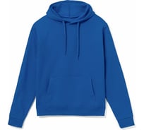 Толстовка с капюшоном Факел васильковая, ткань Футер, 280, размер XL/52 87476168.004