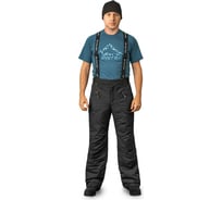 Мужские брюки Payer Arctica Арктика таслан spun, черный, р. 40-42, рост 170-176 4610097051012