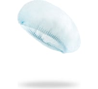 Шапочка-шарлотта СОЮЗСПЕЦОДЕЖДА синяя, 100 шт 2000000136332
