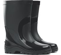 Сапоги специальные мужские ПВХ Дарина, 36 Д10-КЩС черный, 4640028707169 87489374.001