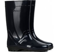 Женские сапоги Дарина Д18 черный, размер 36 (225) 4680019781365