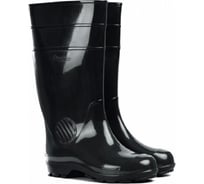 Мужские сапоги Дарина Д21 черный, размер 43 (277) 4680019780771