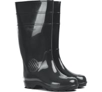 Мужские сапоги Дарина Д21 черный, р.44, длина стопы 285 мм 4680019780788